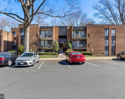 7800 Inverton Rd Unit #303, Annandale