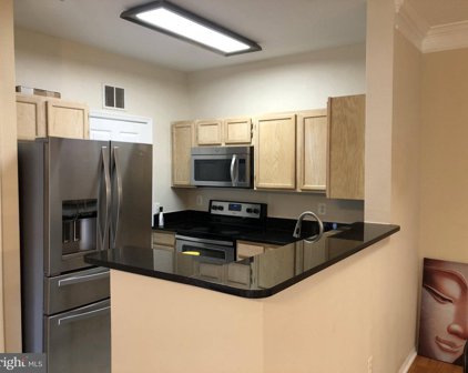 1521 Spring Gate Dr Unit #10312, Mclean