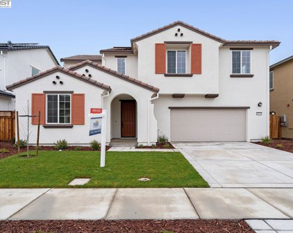 3377 Irish Meadow Ct, Lathrop