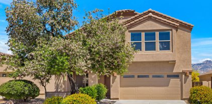 13396 N Piemonte, Oro Valley
