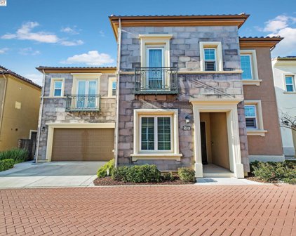 3426 Cinnamon Ridge Rd, San Ramon