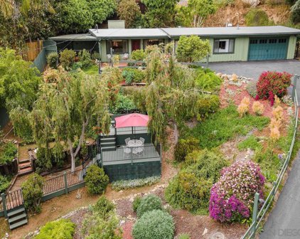 10608 Anaheim Drive, La Mesa