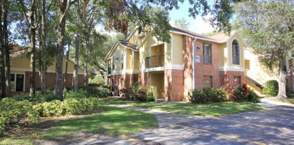 8653 Mallard Reserve Drive Unit 203, Tampa