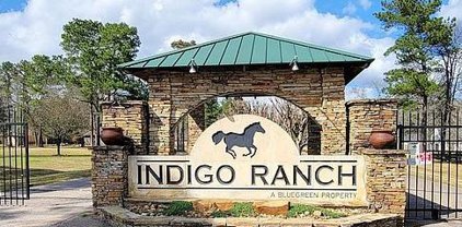 17819 Indigo Hills Drive, Magnolia