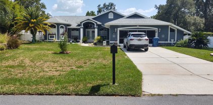 11420 Chalk Farm Road, Spring Hill