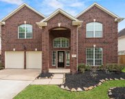 8123 Buffalo Springs Court, Sugar Land image