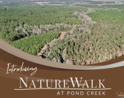 Lot 82 Nature Walk Rd, Pace image