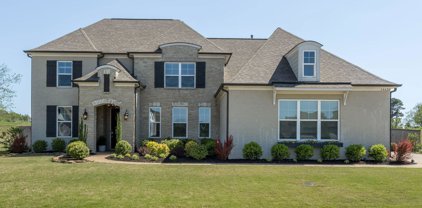 14620 Kenner Pl Drive, Olive Branch