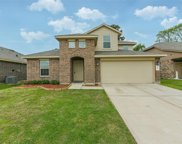 1187 Agua Dulce Trail, Channelview image