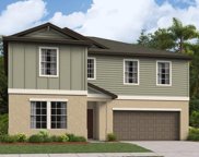 22157 Nebula Way, Land O' Lakes image