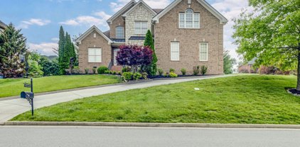355 Shadow Creek Dr, Brentwood