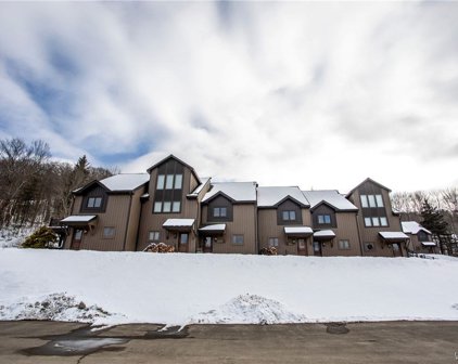 15 Plum Ridge, Ellicottville-043689