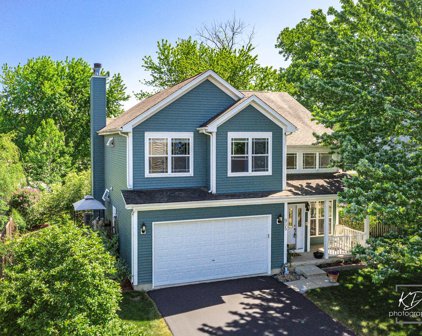 965 Brassfield Avenue, Romeoville
