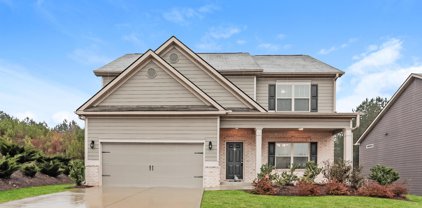 4878 Tower View Drive, Snellville
