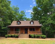 1400 County Road 137, Cedar Bluff image