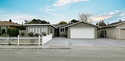 461 N Abbott AVE, Milpitas