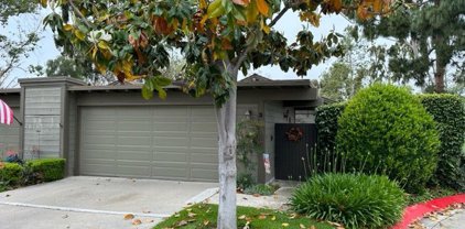 3 Lago Norte, Irvine