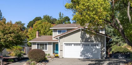 23 Reichert Court, Novato