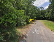 00 PINE, New Caney image