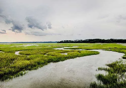 spring island
