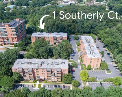 1 Southerly Ct Unit #202, Towson