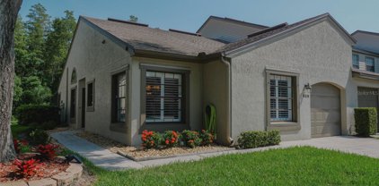 625 Quail Keep Drive, Safety Harbor