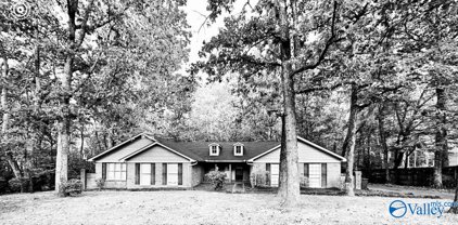 4304 Willow Bend Road, Decatur