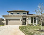 1215 Barberry Way, New Braunfels image
