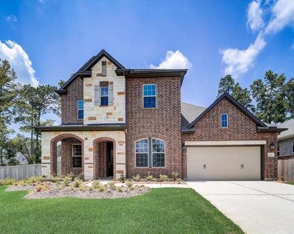 611 Starlit Sky Court, Willis
