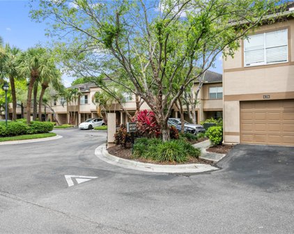 838 Normandy Trace Road Unit 838, Tampa