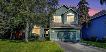 4243 Birch Run Drive, Anchorage