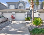 18108 Nassau Point Drive, Tampa image