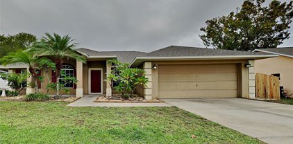 11733 Clair Place, Clermont
