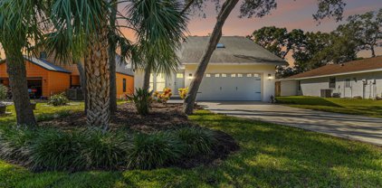1417 Poinsettia Avenue, Tarpon Springs