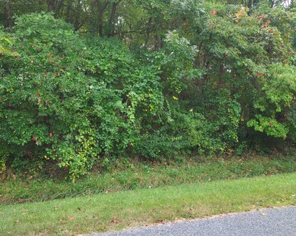 LOTS 253-254 Carimon Rd, Chestertown