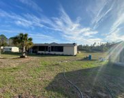 667 Sw  320th Ave 32359, Steinhatchee image
