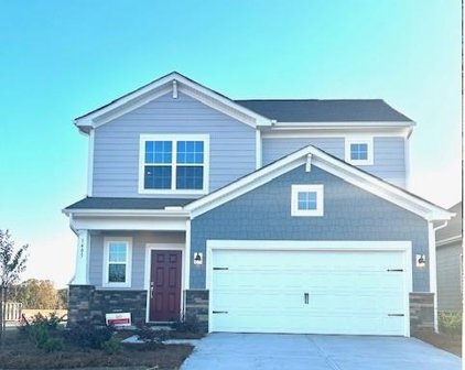 TBD Lookout Shoals  Drive Unit #382, Fort Mill
