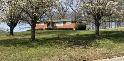 320 Lupine Drive, Knoxville