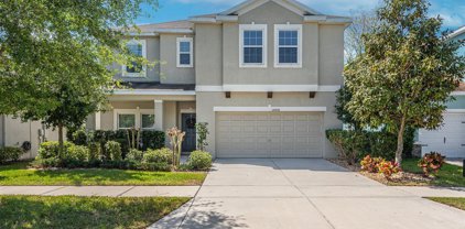 10408 Waterstone Drive, Riverview