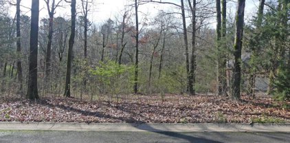 Lot 3 ROSE CREEK Court, Hot Springs