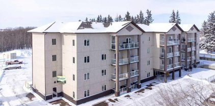 5205 Woodland Road Unit 201, Red Deer County