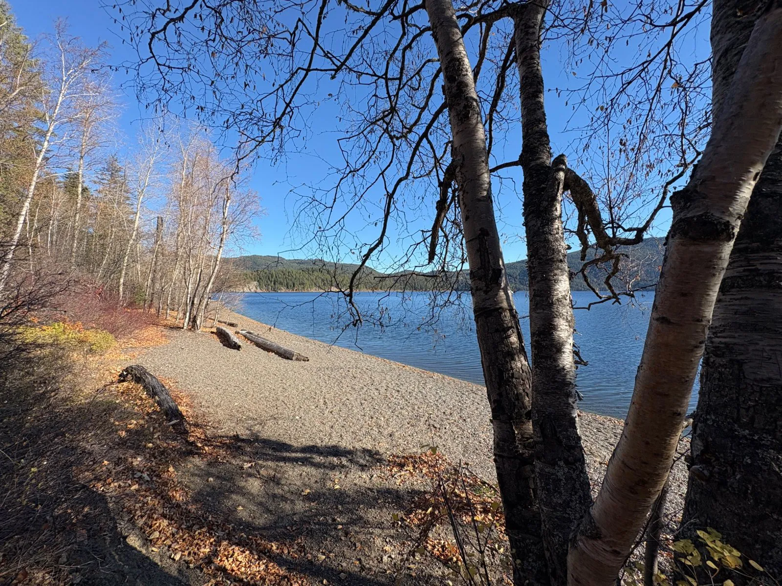 Pebble beach, lakeshore trees and blue water at Canim Beach Park