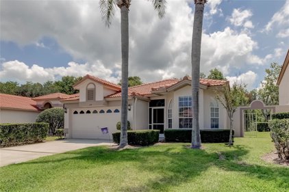 1119 Dartford Drive, Tarpon Springs