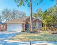 20322 Willow Trace Drive, Cypress image
