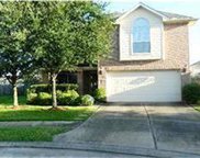 9842 Lynette Falls Drive, Houston image