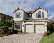 12330 Streambed Drive, Riverview image