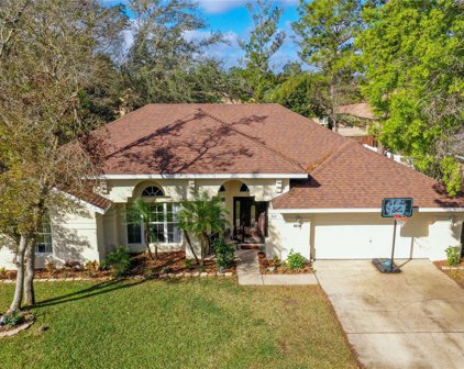 212 Birdiewood Court, Debary