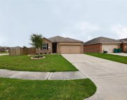 1611 Pink Stone Drive, Iowa Colony image
