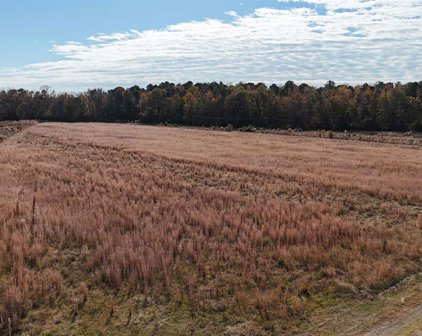TBD 8.67 AC T J Sod Ln., Conway