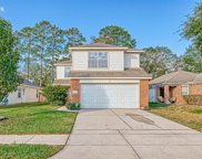 20315 Clydesdale Ridge Drive, Humble image